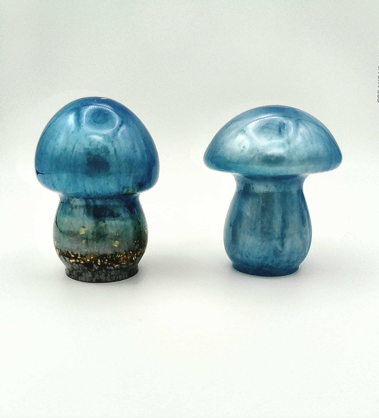 ✨ Démo – Combo Champignons Époxy Personnalisé ✨
