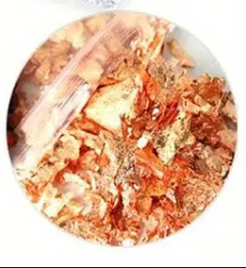 🎨 Créez votre propre champignon – Couleurs 🌟