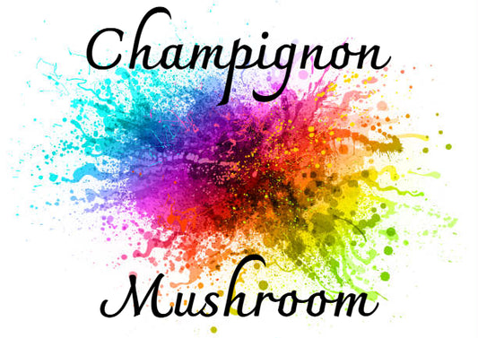 🎨 Créez votre propre champignon – Couleurs 🌟