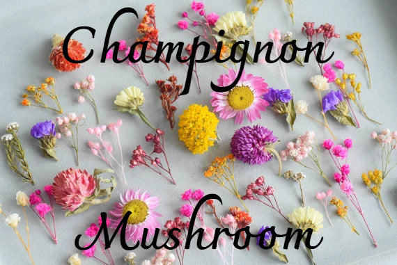 🎨 Créez votre propre champignon – Fleurs 🌸