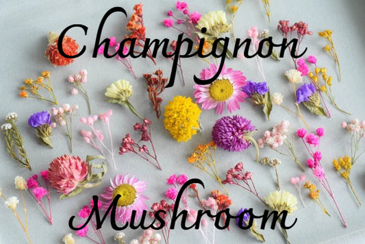 🎨 Créez votre propre champignon – Fleurs 🌸
