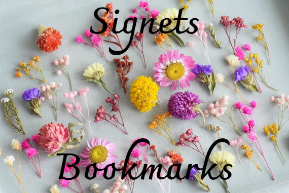 🎨 Créez votre propre marque-page – Fleurs 🌸