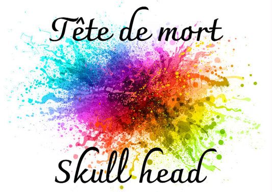 🎨 Créez votre propre tête de mort – Fleurs et formes 🌸