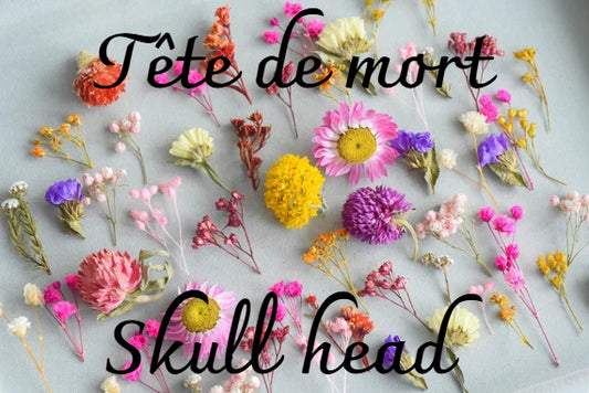 🎨 Créez votre propre tête de mort – Fleurs et formes 🌸