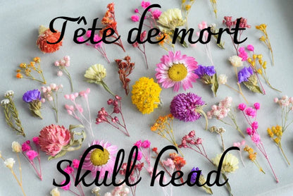 🎨 Créez votre propre tête de mort – Fleurs et formes 🌸